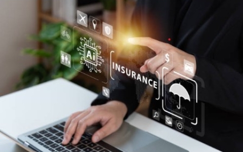 Insurance 